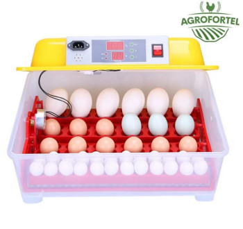 Automatická digitální líheň WQ-24. Pro 24/96 vajec.