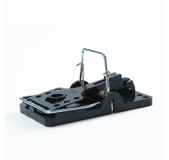 Gilotina - past na potkany