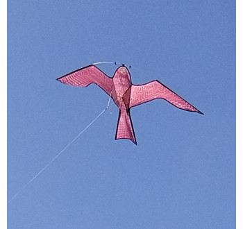 Jestřáb létající drak s prutem