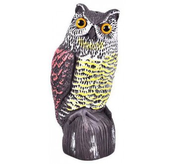 3D maketa dravce Výr - 36 cm