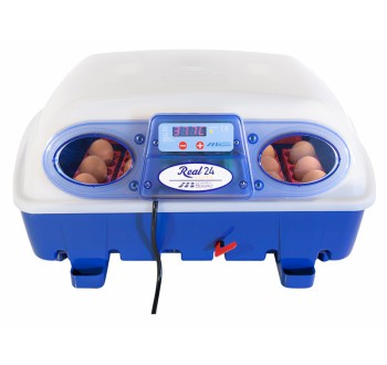 Líheň na vejce BOROTTO REAL 24