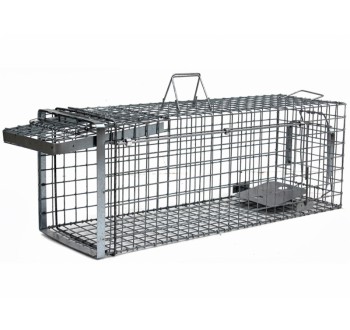 Profesionální past na kuny a kočky  TRAP H80x34x34