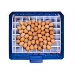 Automatická líheň LUMIA 56 AUTOMATIC - s dolíhní drůbeže