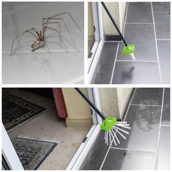 Gardigo Spider 66976, odchytová past na pavouky, 645 x 73 x 135 mm