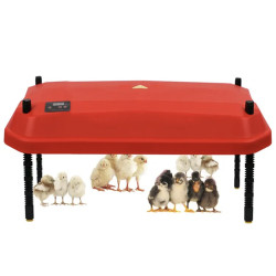 Umělá kvočna - výhřevná deska 40x60 cm s termostatem