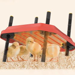 Umělá kvočna - výhřevná deska 40x60 cm s termostatem