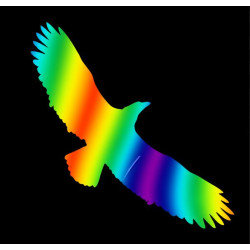 Silueta dravce z holografické folie Fantasy rainbow (65 x 150 mm)