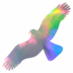 Silueta dravce z holografické folie Fantasy Direct rainbow (65 x 150 mm)