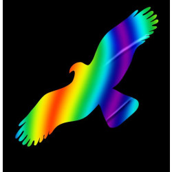 Silueta dravce z holografické folie Fantasy Direct rainbow (166 x 404 mm)