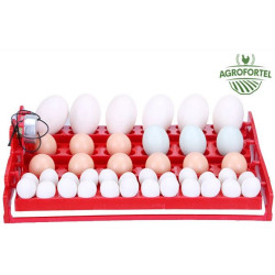 Automatická digitální líheň WQ-24. Pro 24/96 vajec.