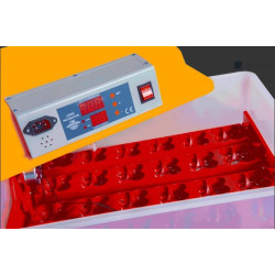 Automatická digitální líheň WQ-24. Pro 24/96 vajec.