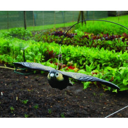 Trojrozměrná maketa dravce