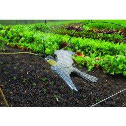 Trojrozměrná maketa dravce