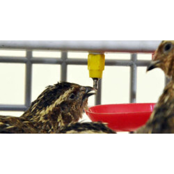 Klec pro křepelky CIMUKA BYK-03-3K