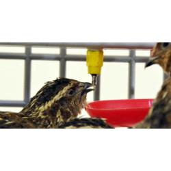 Klec pro křepelky CIMUKA BYK-03-5K