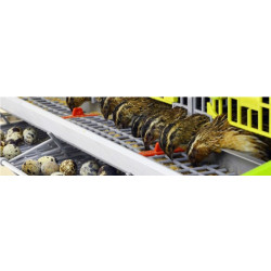 Klec pro křepelky CIMUKA BYK-03-5K