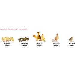 Líheň na vejce BOROTTO REAL 49