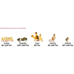 Líheň na vejce CLEO 5x2 DTH