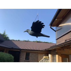 Plašič ptáků Havran v letu 80 X 11 X 45 cm