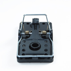 Gilotina - past na potkany