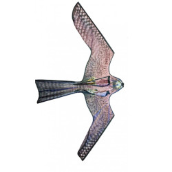 Jestřáb létající drak s prutem