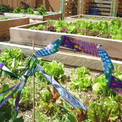 Holografická páska IRRI 25ft