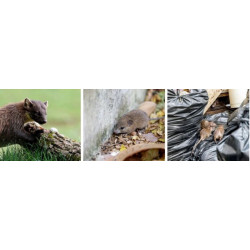 Ultrazvukový plašič na kuny, myši a potkany VIANO OD-10 - napájení přes 230V