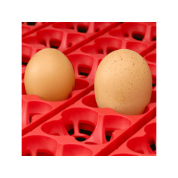 Líheň na vejce RIVER SYSTEMS ET 24 AUTOMATIC - s dolíhní drůbeže