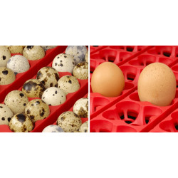 Líheň na vejce RIVER SYSTEMS ET 24 AUTOMATIC - s dolíhní drůbeže