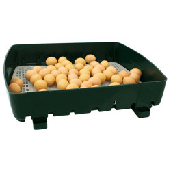 Líheň na vejce RIVER SYSTEMS ET 49 - s dolíhní drůbeže