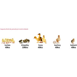 Líheň na vejce RIVER SYSTEMS ET 49 AUTOMATIC - s dolíhní drůbeže