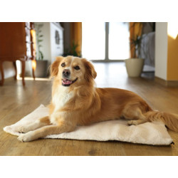 Termodeka pro psy a kočky KERBL THEO 75x50 cm