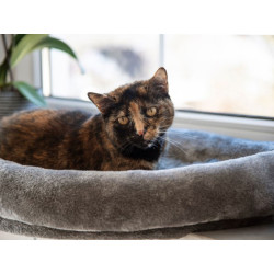 Pelíšek pro kočky na parapet KERBL 55x35x10 cm, šedý