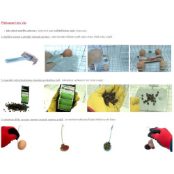 Past na potkany, krysy a lasičky TRAP ZL50x20x27