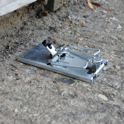 Samonastavitelná past na myši TVS160