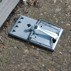 Samonastavitelná past na krysy a potkany TVS165