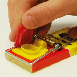 Pasti na myši Fresh ´n Tasty STV197 včetně návnady 2 ks