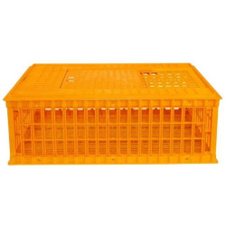 Přepravní box na drůbež AGF29 - 75 x 55 x 29 cm, skládací
