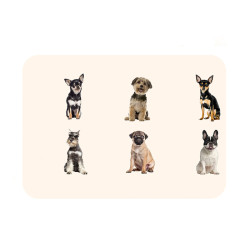 Výběh pro psy a další zvířata PAWHUT D06-107V02BK, 8 panelů, 80x60 cm