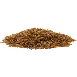 Moučný červ 3l (460g)