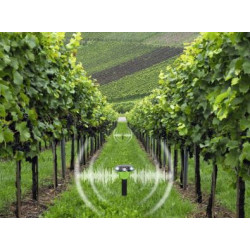 Gardigo Solar Vogelscheuche Feindgeräusch plašič ptáků 3025564