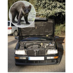 Gardigo ochrana proti kunám, multifrekvence, 50 m² 3315118