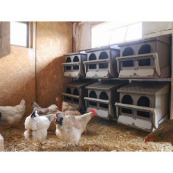 Snáškové hnízdo pro slepice se sběrným košíkem na vejce KERBL 73146 dvoumístné