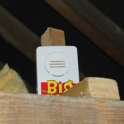 Alarm Big Cheese pro indikaci odchytu hlodavce do pasti