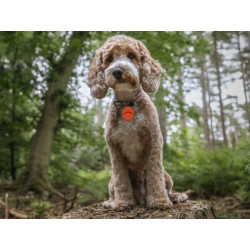 Ultrazvukový odpuzovač klíšťat VIANO OKL-1 - napájení na baterie 1xCR2032 v balení