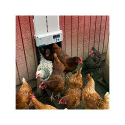 Komplet automatického otevírání a zavírání kurníku CHICKEN GUARD ALL IN ONE SOLAR