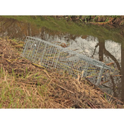 Profesionální odchytová past na kuny, kočky a malé psy - H80x26x30