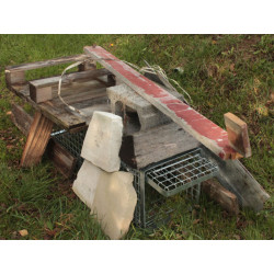 Profesionální odchytová past na kuny, kočky a malé psy - H80x26x30