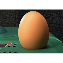 Automatická líheň AGROFORTEL ECO PROFI C140 - pro slepice, kachny, husy a holuby