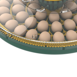 Automatická líheň na drůbež AGROFORTEL 52H – pro 52 vajec